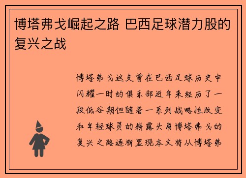博塔弗戈崛起之路 巴西足球潜力股的复兴之战