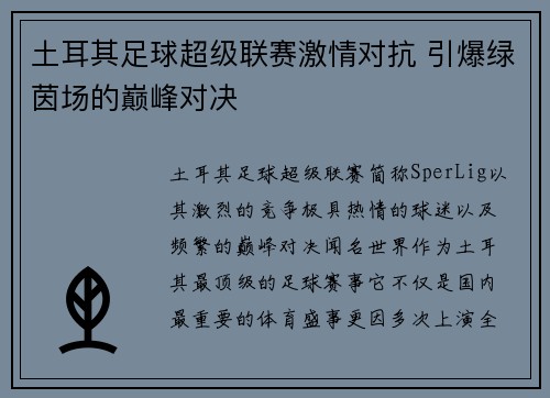 土耳其足球超级联赛激情对抗 引爆绿茵场的巅峰对决